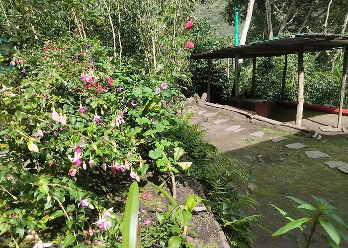 Etrita Inkas Sahuayaco